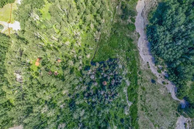 $295,000 | 3170 San Juan Vista Road, Placerville, CO 81430