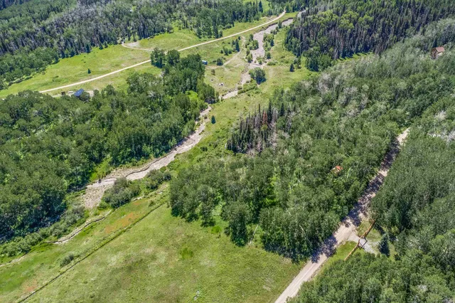 a view of a green field with lots of bushes