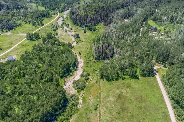 a view of a lush green forest with lots of trees