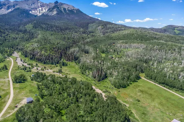 a view of a yard with wooden fence