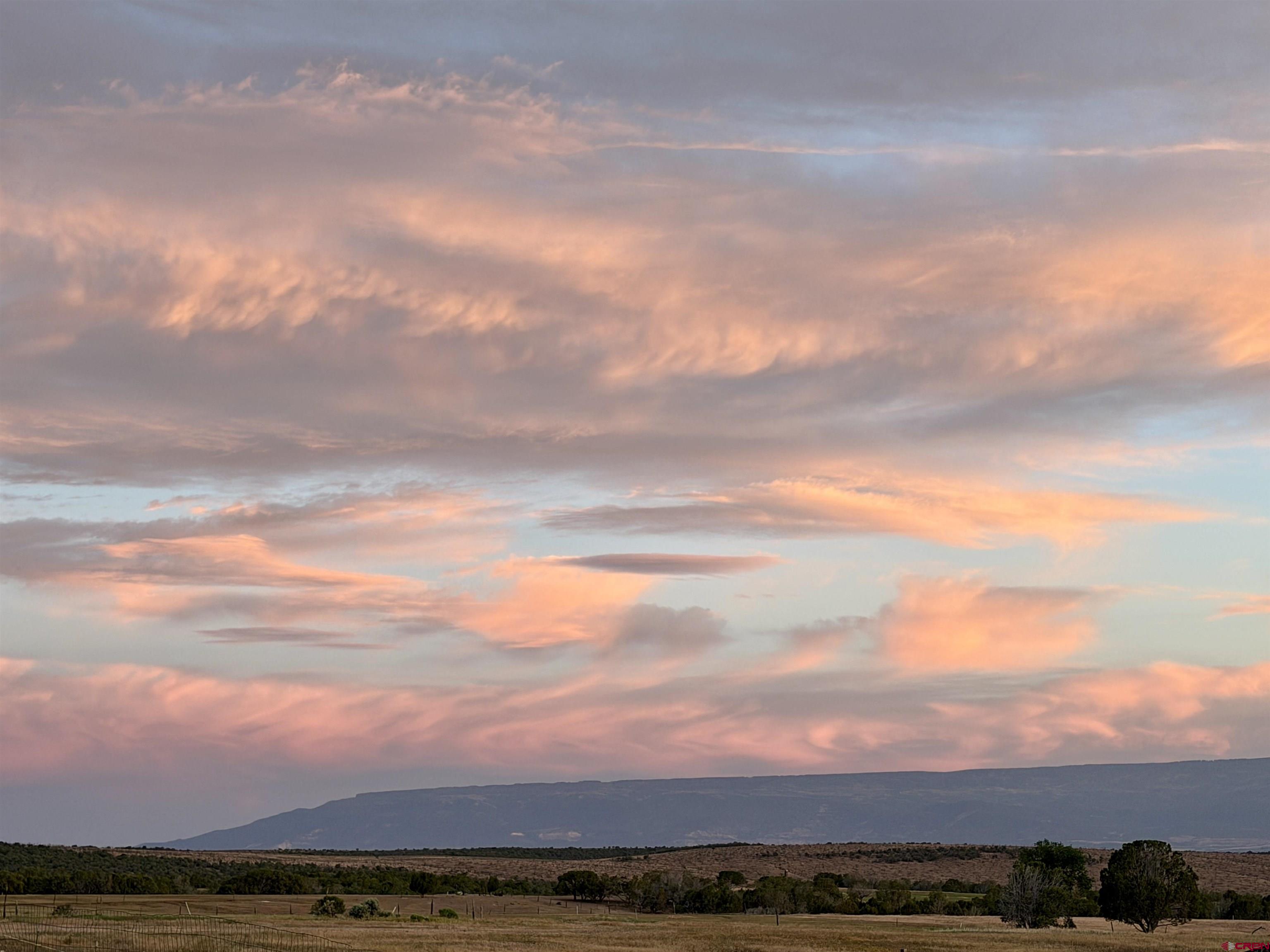 31807 B50 Road Crawford, CO 81415 - Photo 42 of 45