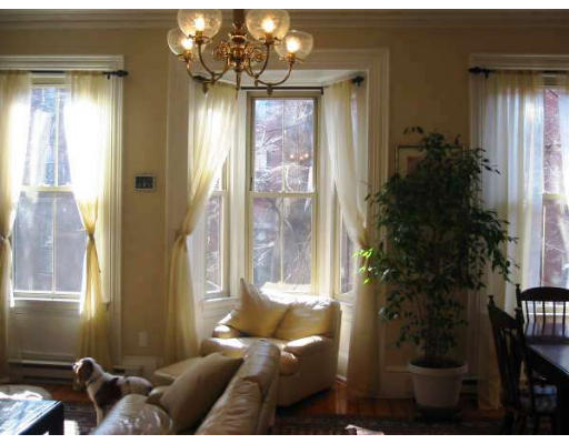 46 East Springfield Street, Unit 3 Boston, MA 02118 - Photo 11 of 11 Gallery Image 11