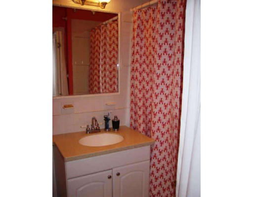 46 East Springfield Street, Unit 3 Boston, MA 02118 - Photo 10 of 11 Gallery Image 10