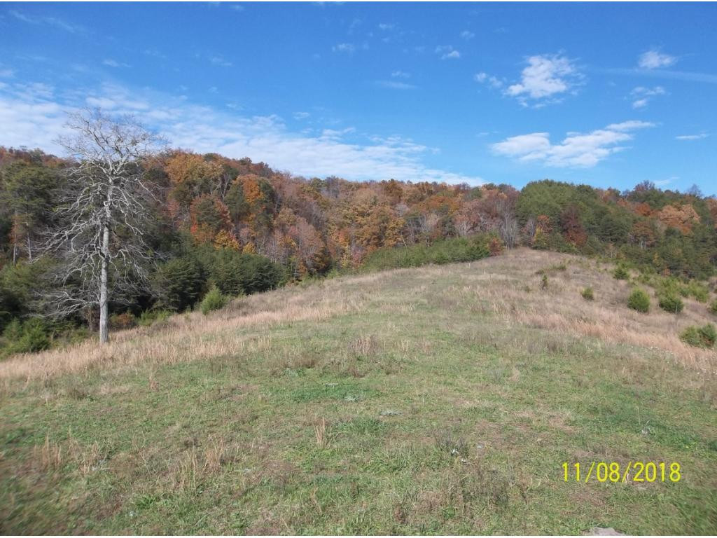 Tbd Mt Hope Road, Unit 2 3 4 5 Mohawk, TN 37810 - Photo 11 of 36 Photo 11