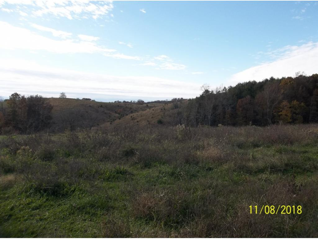 Tbd Mt Hope Road, Unit 2 3 4 5 Mohawk, TN 37810 - Photo 16 of 36 Photo 16
