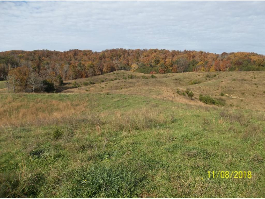 Tbd Mt Hope Road, Unit 2 3 4 5 Mohawk, TN 37810 - Photo 25 of 36 Photo 25