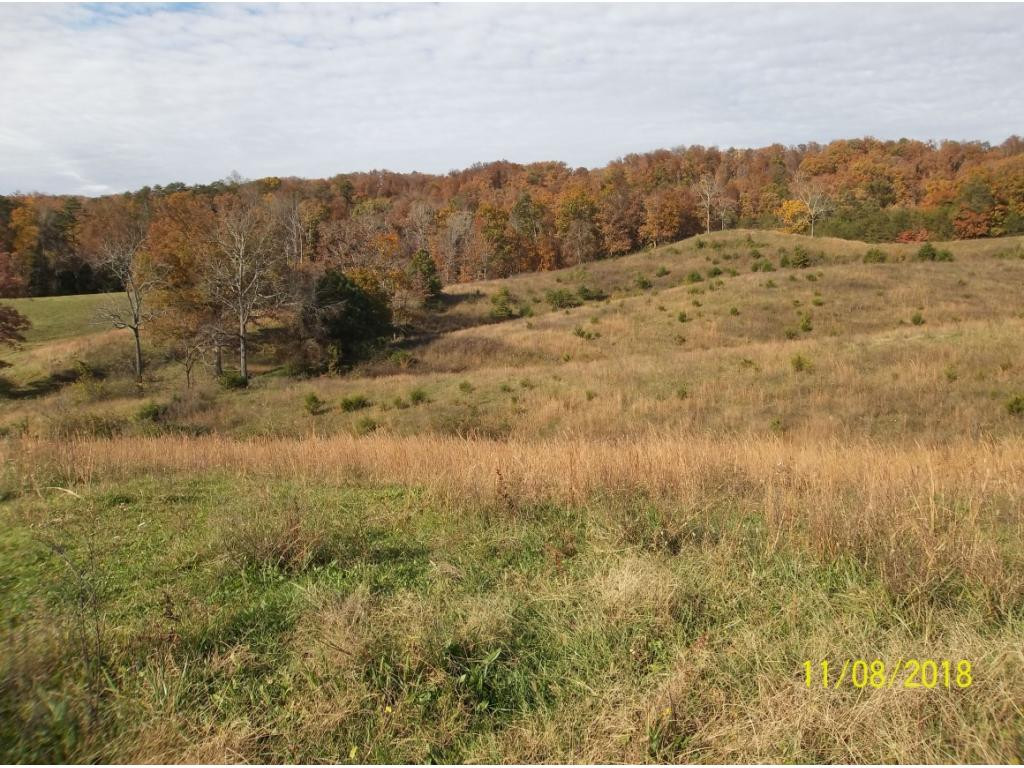 Tbd Mt Hope Road, Unit 2 3 4 5 Mohawk, TN 37810 - Photo 27 of 36 Photo 27