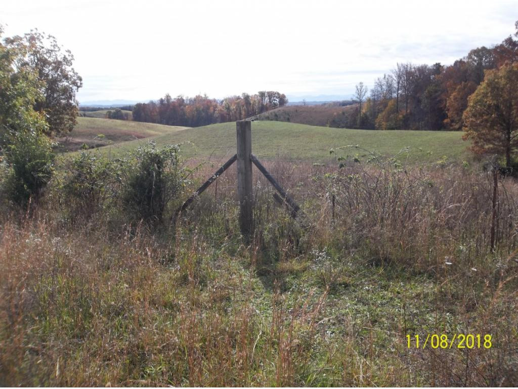 Tbd Mt Hope Road, Unit 2 3 4 5 Mohawk, TN 37810 - Photo 28 of 36 Photo 28