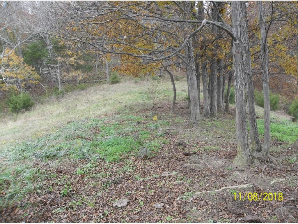 Tbd Mt Hope Road, Unit 2 3 4 5 Mohawk, TN 37810 - Photo 32 of 36 Photo 32