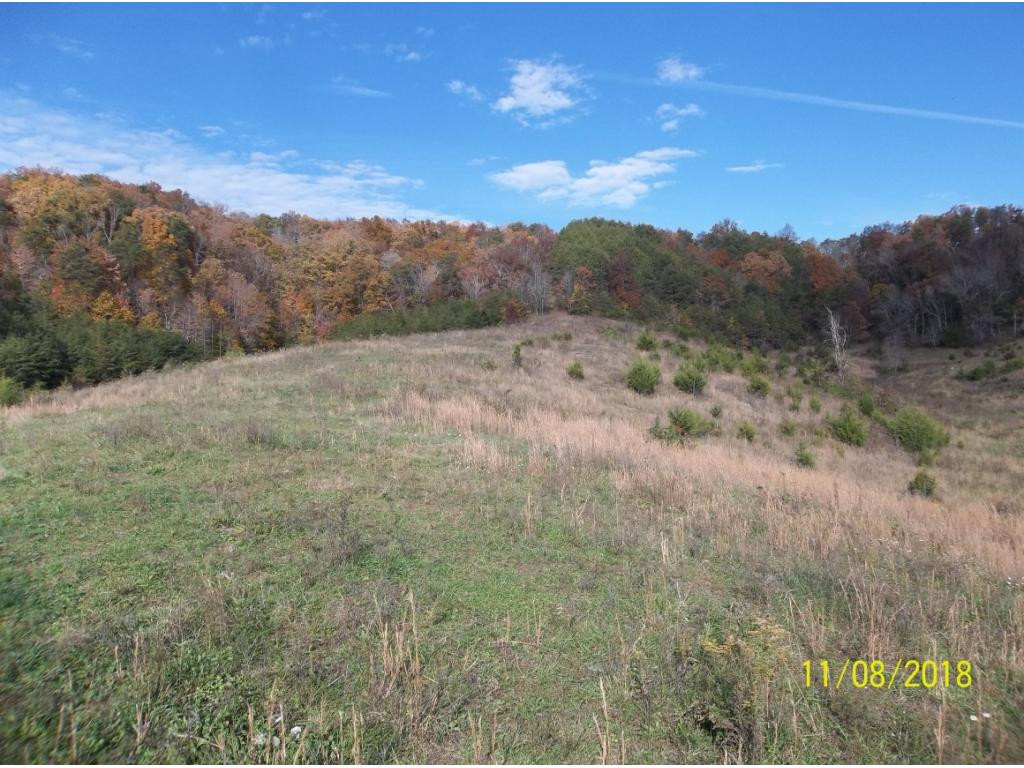 Tbd Mt Hope Road, Unit 2 3 4 5 Mohawk, TN 37810 - Photo 8 of 36 Photo 8