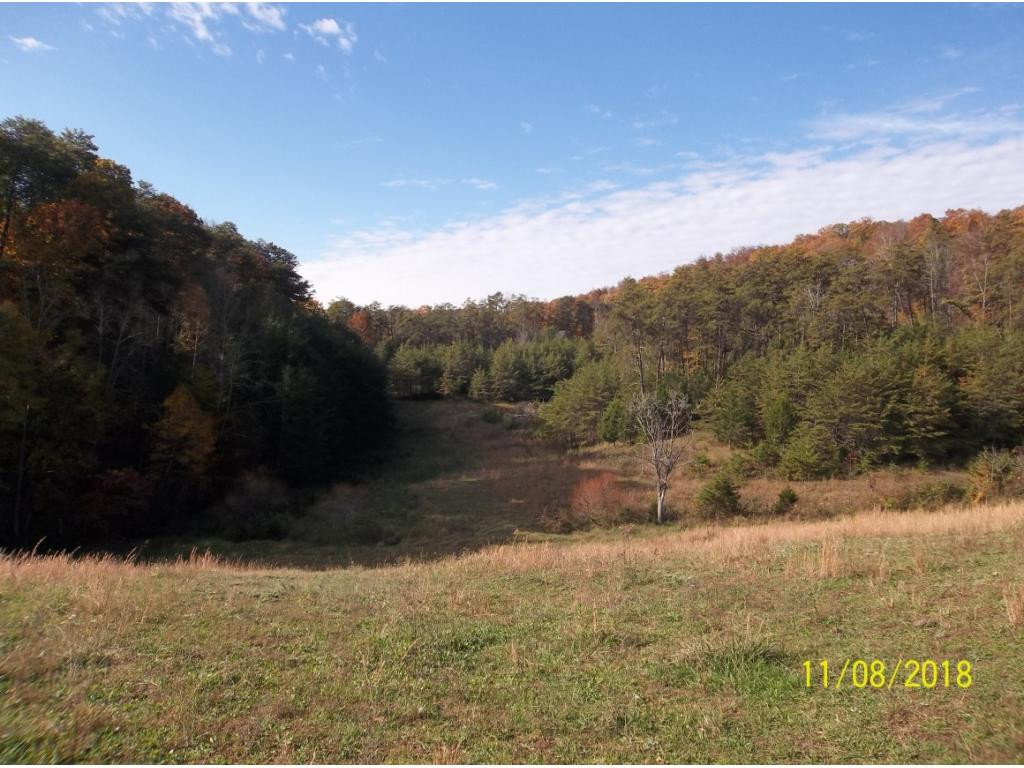 Tbd Mt Hope Road, Unit 2 3 4 5 Mohawk, TN 37810 - Photo 10 of 36 Photo 10
