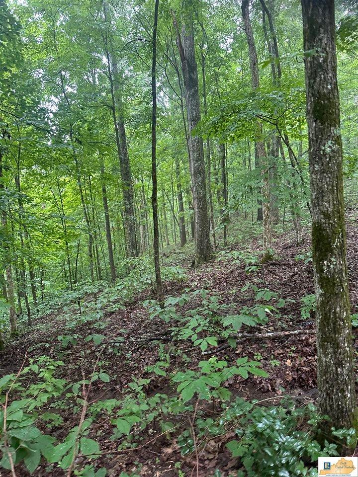 Ac Elbow Bend Road Tompkinsville, KY 42167 - Photo 7 of 12 Gallery Image 7