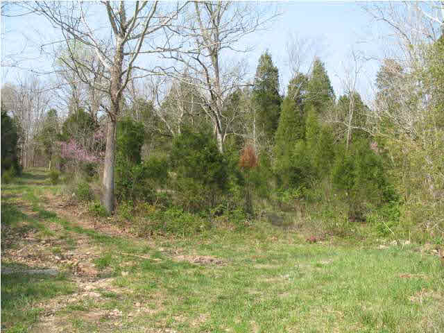 0 Leopold Road Leopold, IN 47551 - Photo 1 of 2 Gallery Image 1