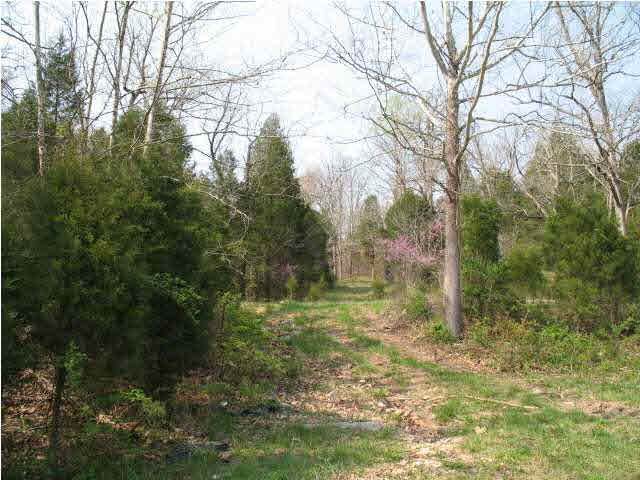 0 Leopold Road Leopold, IN 47551 - Photo 2 of 2 Gallery Image 2