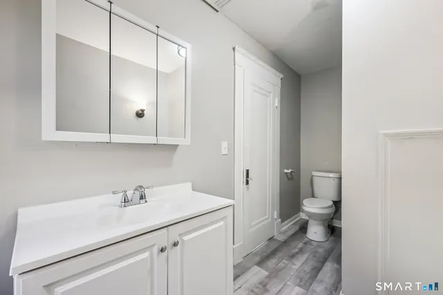 a bathroom with a sink toilet and vanity