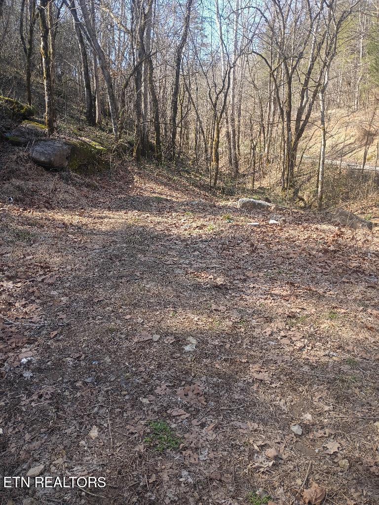 940 Riley Creek Road Whitleyville, TN 38588 - Photo 29 of 30 243123_9
