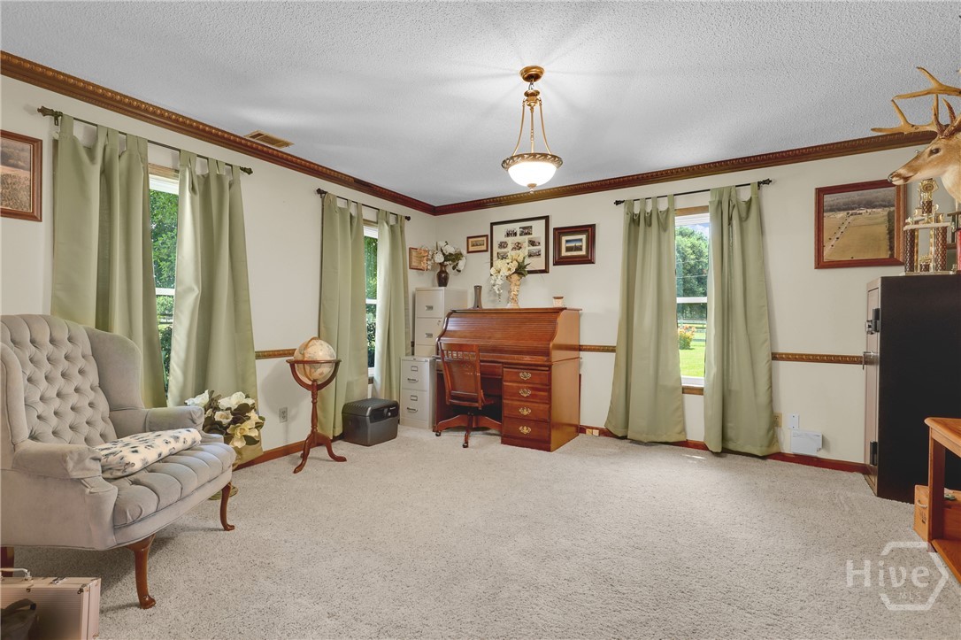 1099 Old Olive Branch Road Ellabell, GA 31308 - Photo 15 of 64 Gallery Image 15