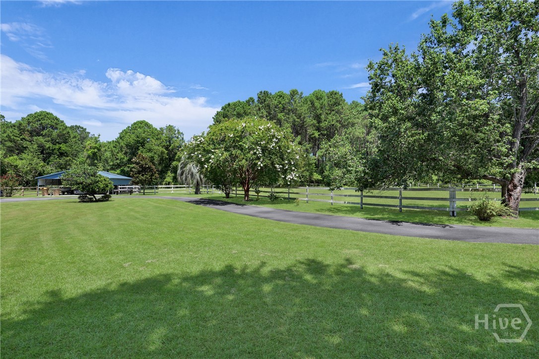 1099 Old Olive Branch Road Ellabell, GA 31308 - Photo 42 of 64 Gallery Image 42