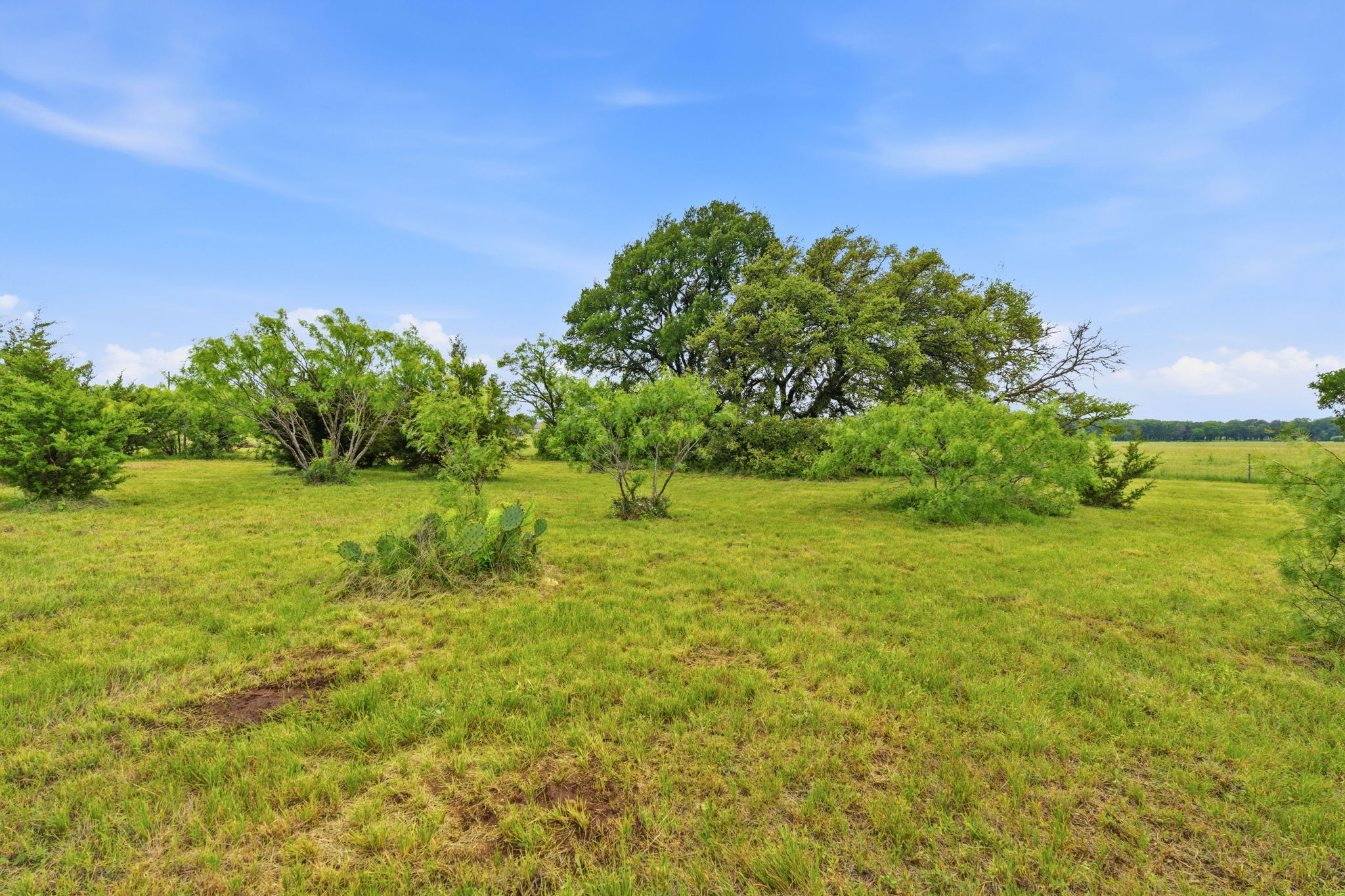 104 Round Up Circle Burnet, TX 78611 - Photo 8 of 23 Expansive green pastureland featuring scattered trees, varied shrubbery, and natural vegetation