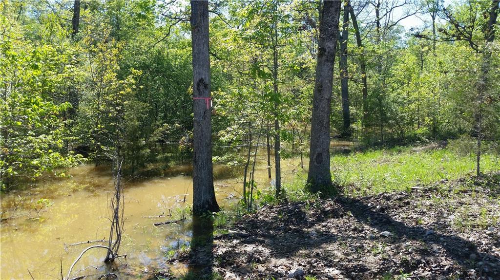 Tbd Kolb Hollow Road Climax Springs, MO 65324 - Photo 11 of 36