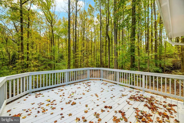 a kitchen with stainless steel appliances granite countertop a refrigerator a stove a sink dishwasher a refrigerator white cabinets and wooden floor