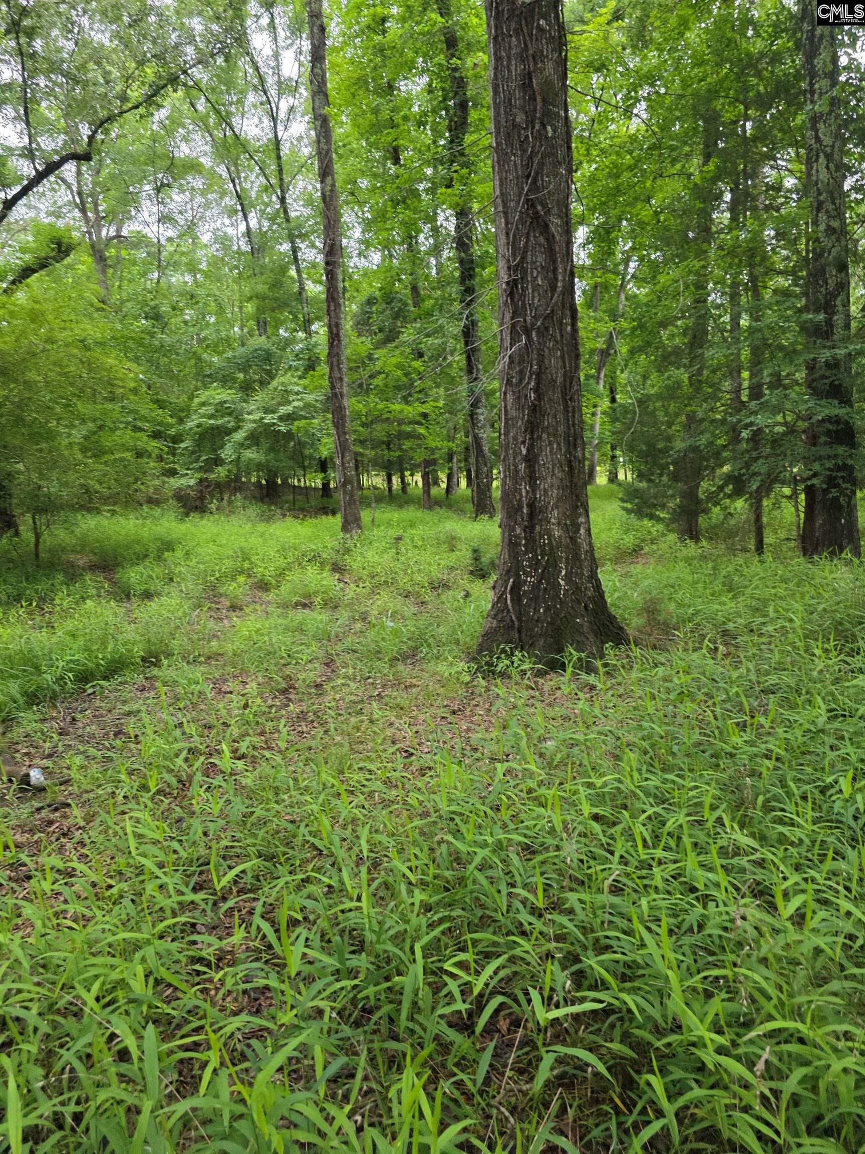 1595 State Rd S-20-317 Winnsboro, SC 29180 - Photo 7 of 8