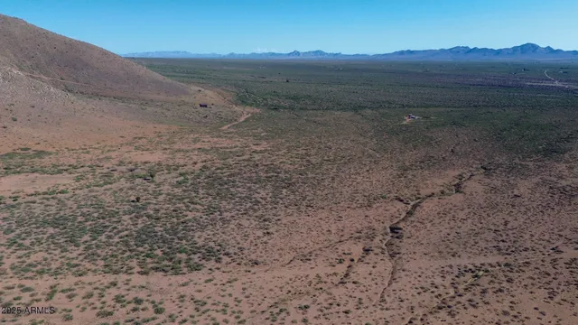 a view of dirt field with large trees