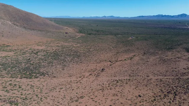 a view of a dry yard with wooden fence
