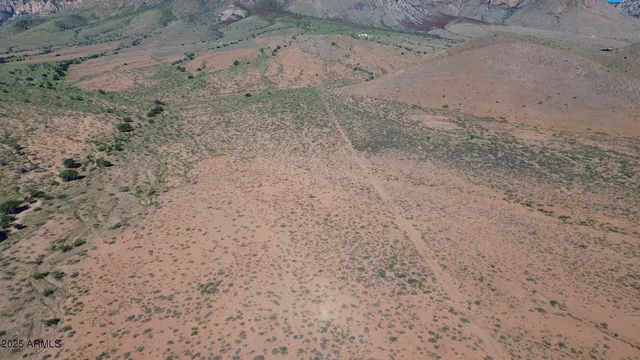 a view of a dry space with wooden floor