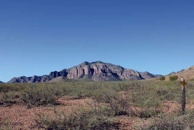 a view of a mountain in the distance in a field