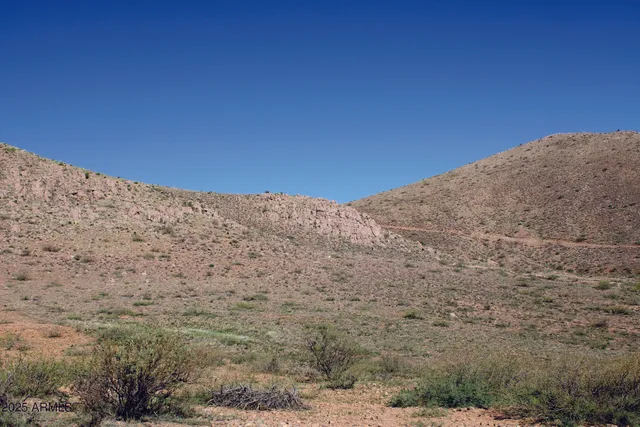 a view of a dry yard with mountains in the background