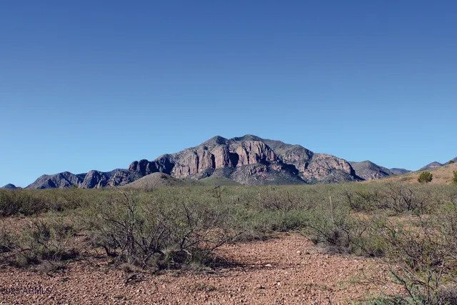 a view of a field with a dry yard