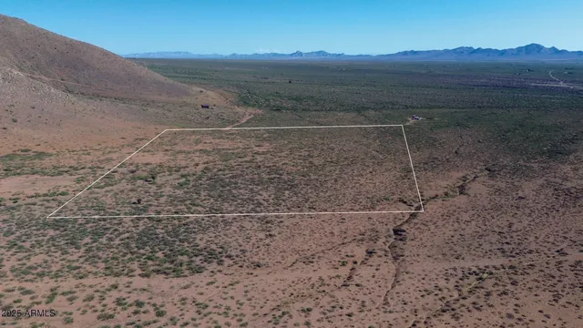 a view of a dry yard with wooden fence