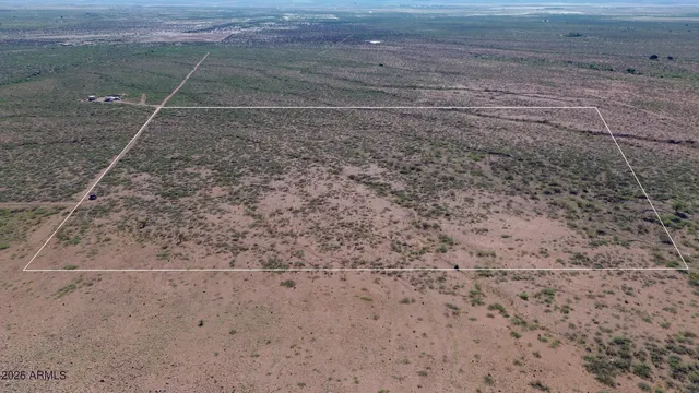 a view of a dry yard