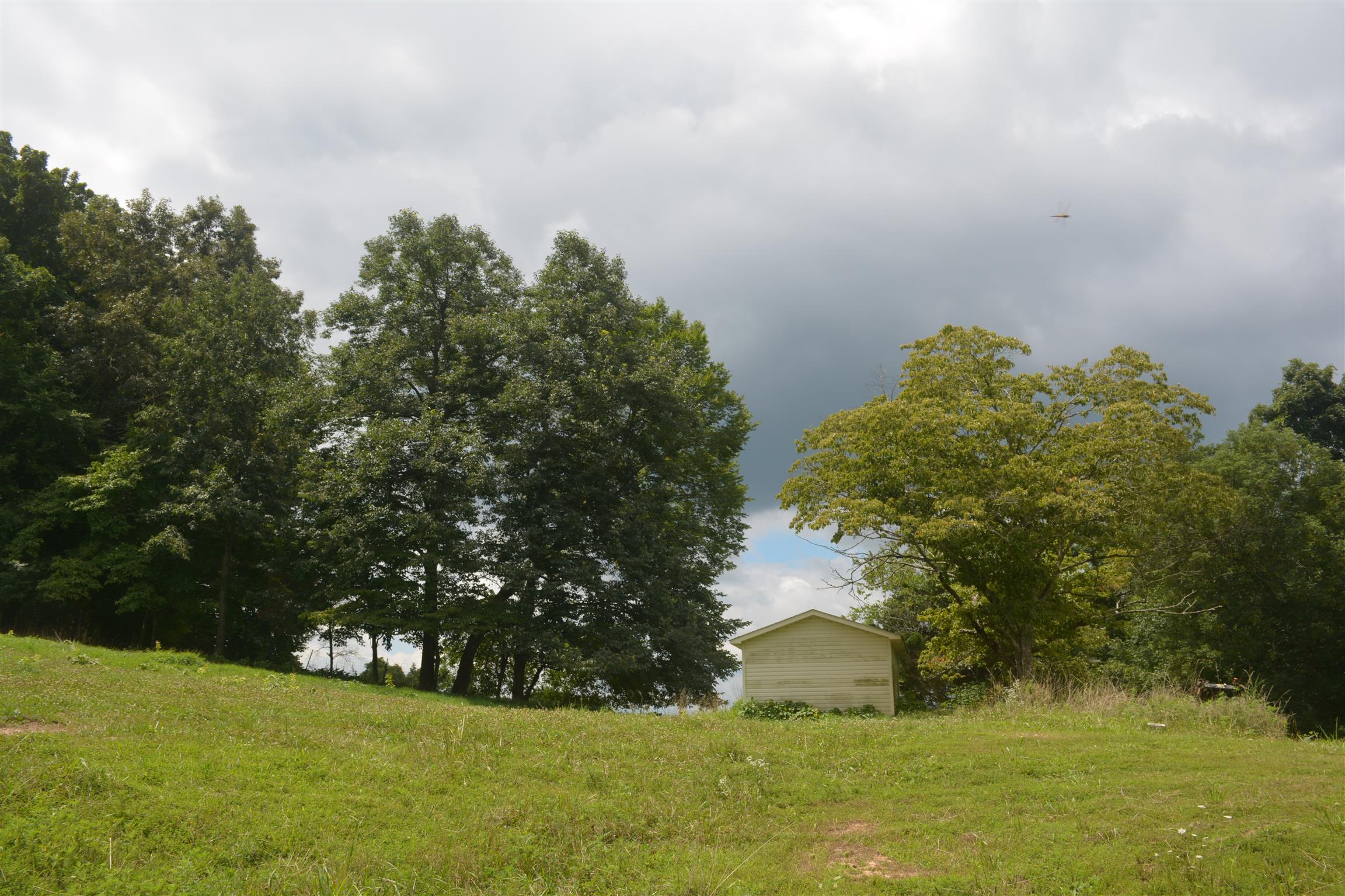 300 Moore Road Dickson, TN 37055 - Photo 12 of 21 a view of yard with green space