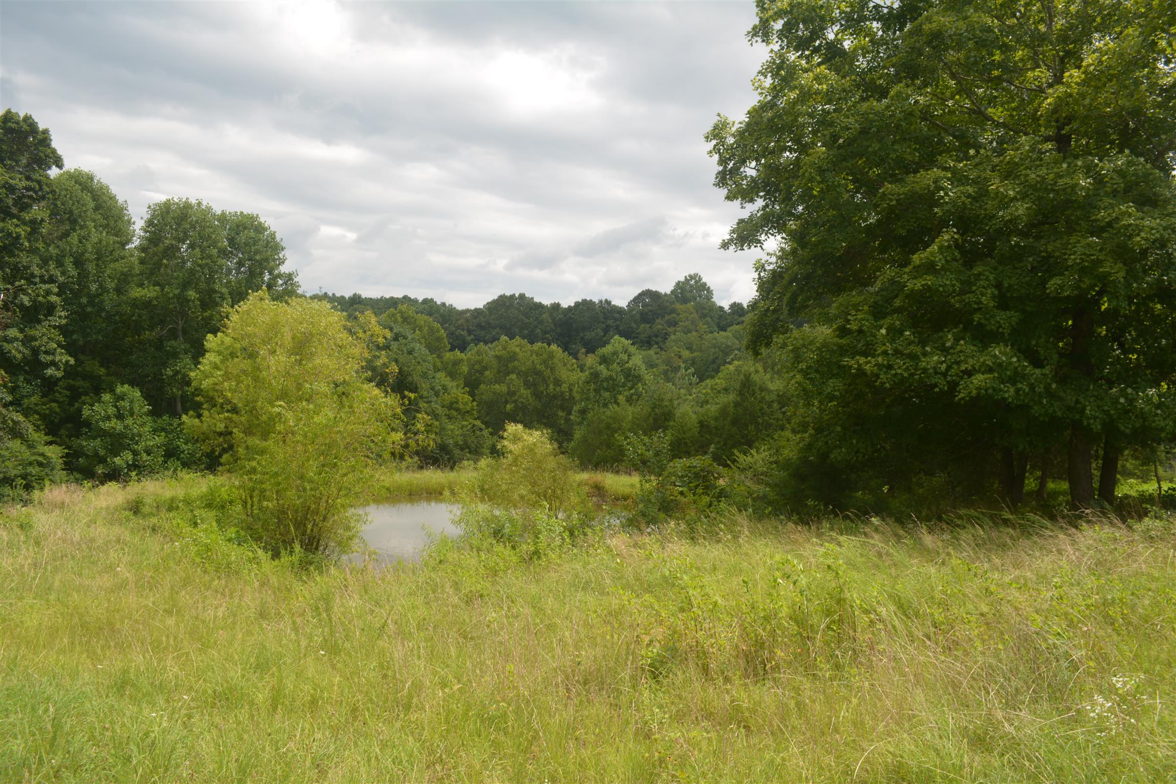 300 Moore Road Dickson, TN 37055 - Photo 14 of 21 a view of a garden