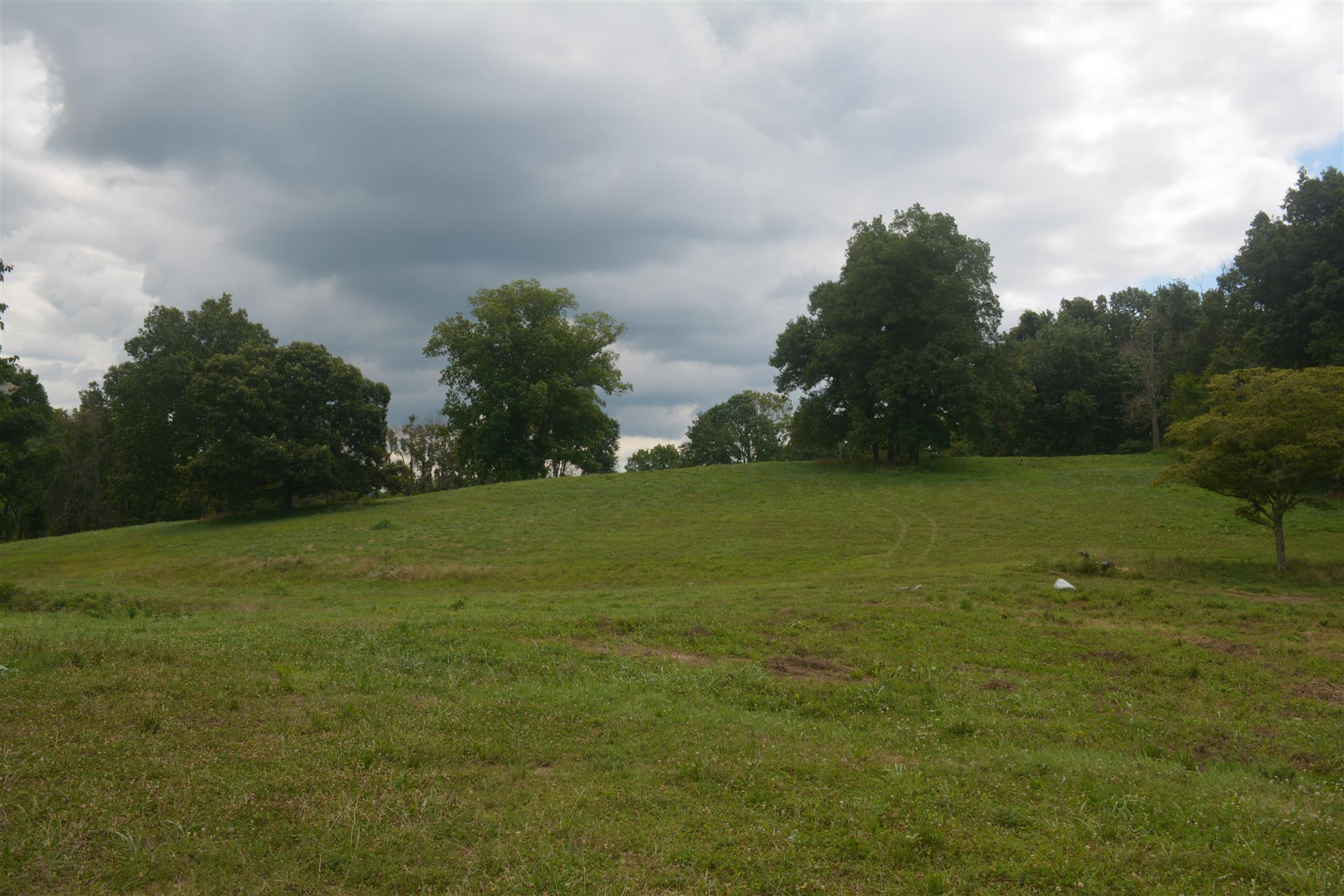 300 Moore Road Dickson, TN 37055 - Photo 17 of 21 a view of yard with swimming pool and green space