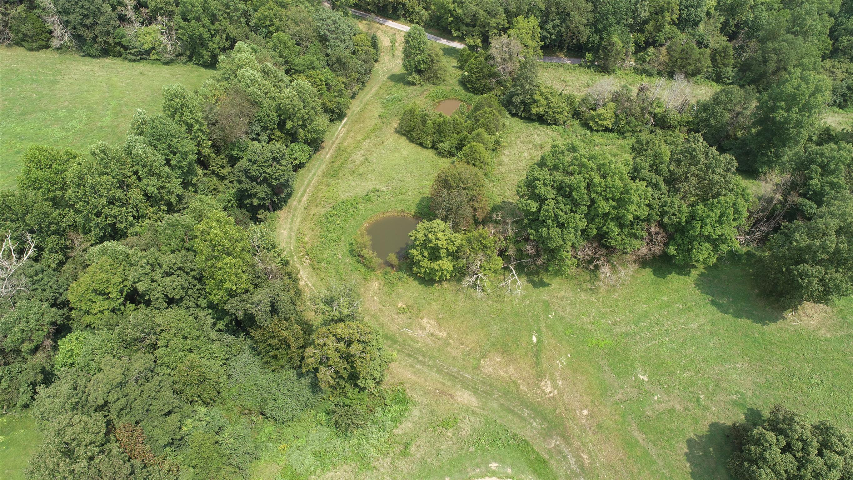 300 Moore Road Dickson, TN 37055 - Photo 3 of 21 a view of a yard