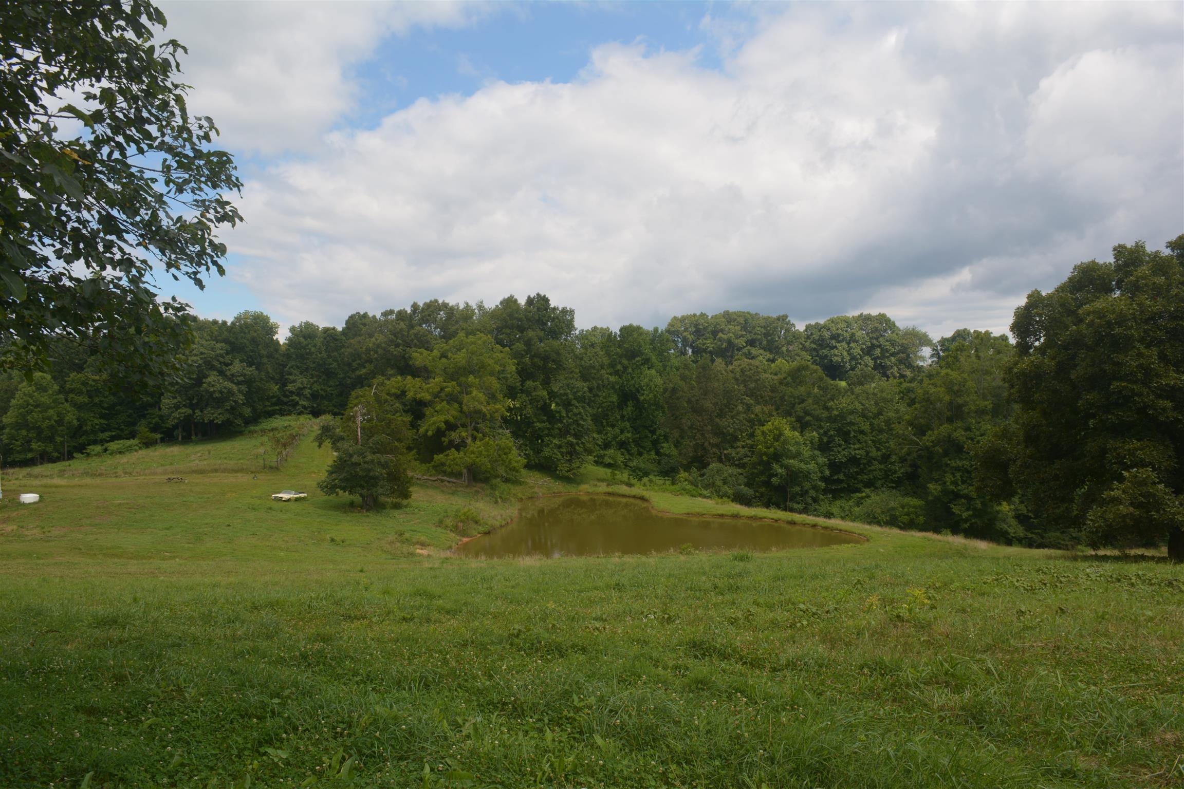 300 Moore Road Dickson, TN 37055 - Photo 5 of 21 a big yard with lots of green space and lots of trees