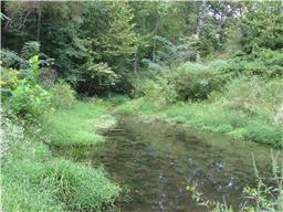 300 Moore Road Dickson, TN 37055 - Photo 6 of 21 a view of a lush green forest