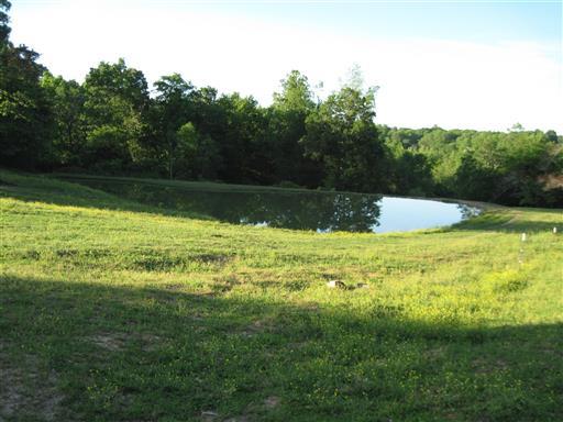 300 Moore Road Dickson, TN 37055 - Photo 9 of 21 a view of an outdoor space and swimming pool