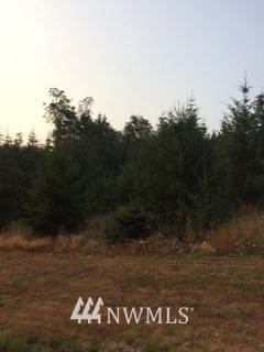 0 Bowman Road Chehalis, WA 98532 - Photo 1 of 1 a view of a yard