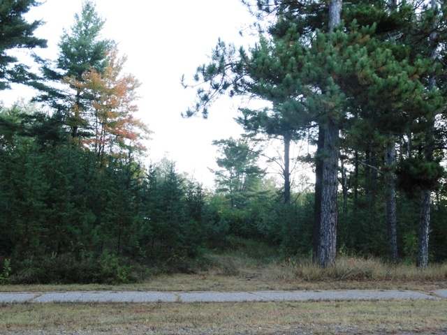 Lot 3 School Road Tomahawk, WI 54487 - Photo 4 of 11 Gallery Image 4