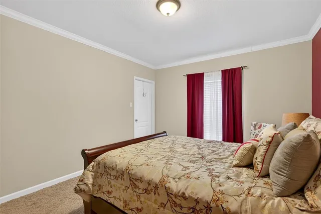 a bathroom with a shower and a toilet