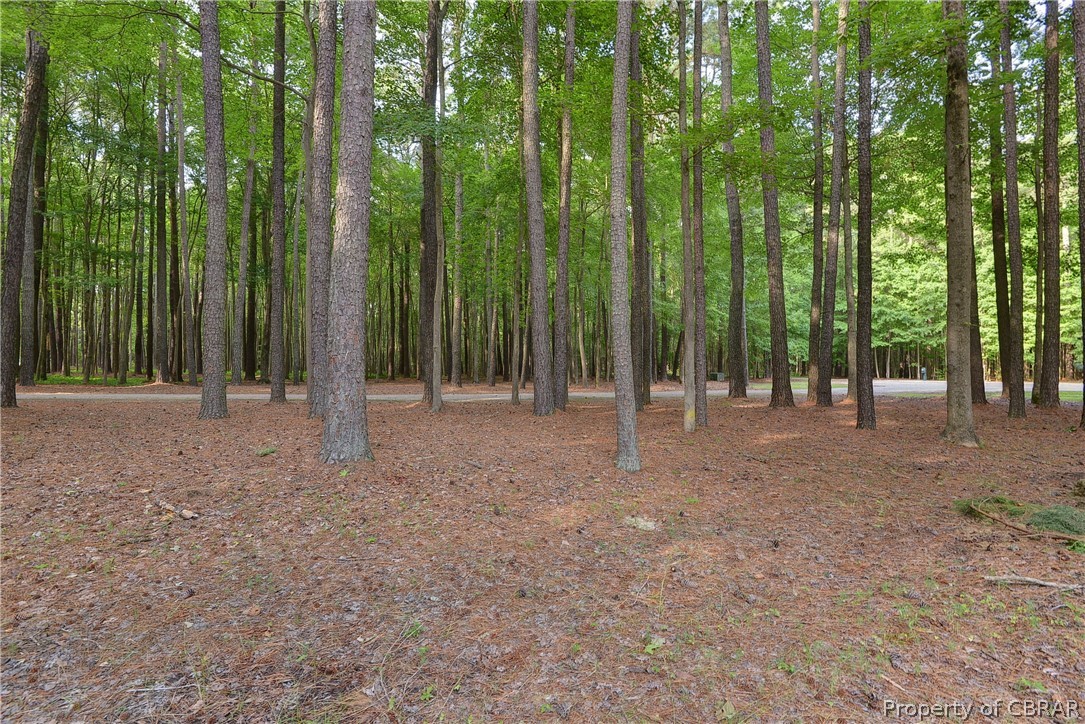 33 Bland Field Road Deltaville, VA 23043 - Photo 41 of 50 Gallery Image 41