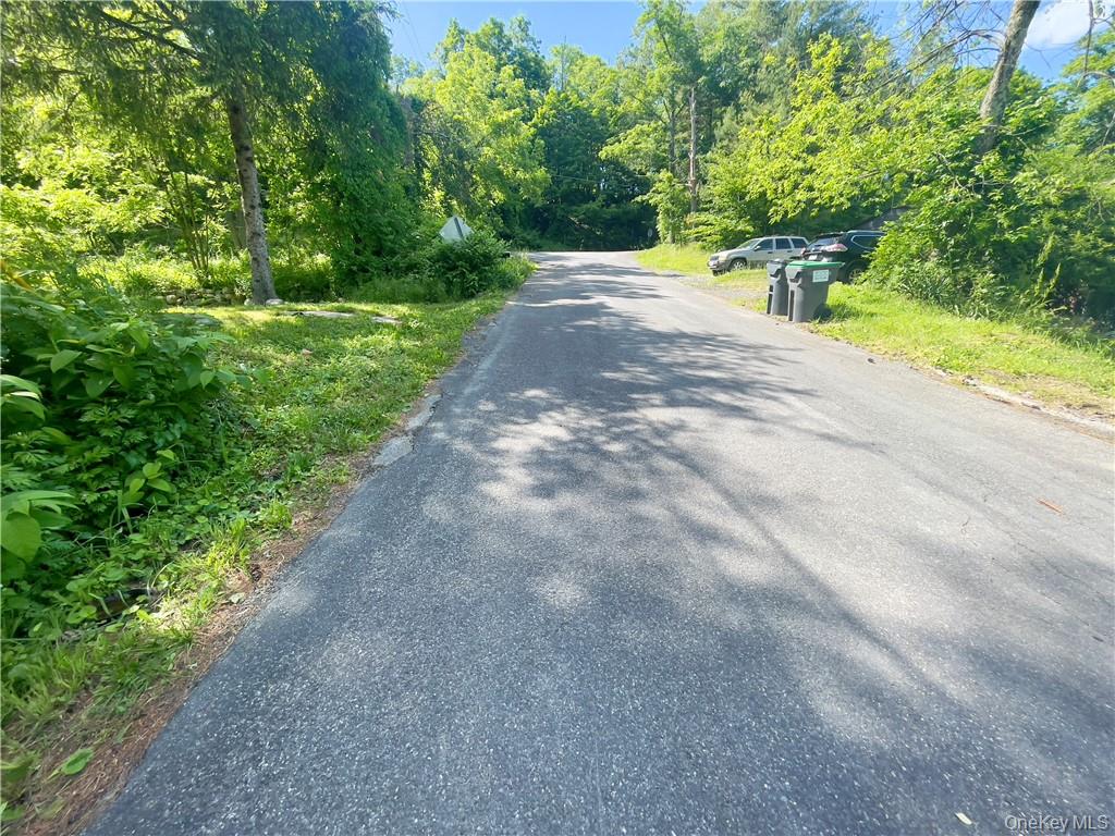 4 Old Turnpike Road Bloomingburg, NY 12721 - Photo 8 of 27 View of street