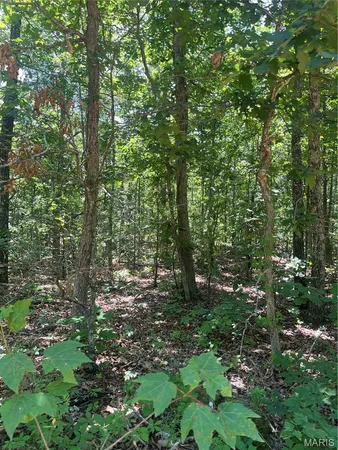 $99,000 | 1 County Road 750, Centerville, MO 63633
