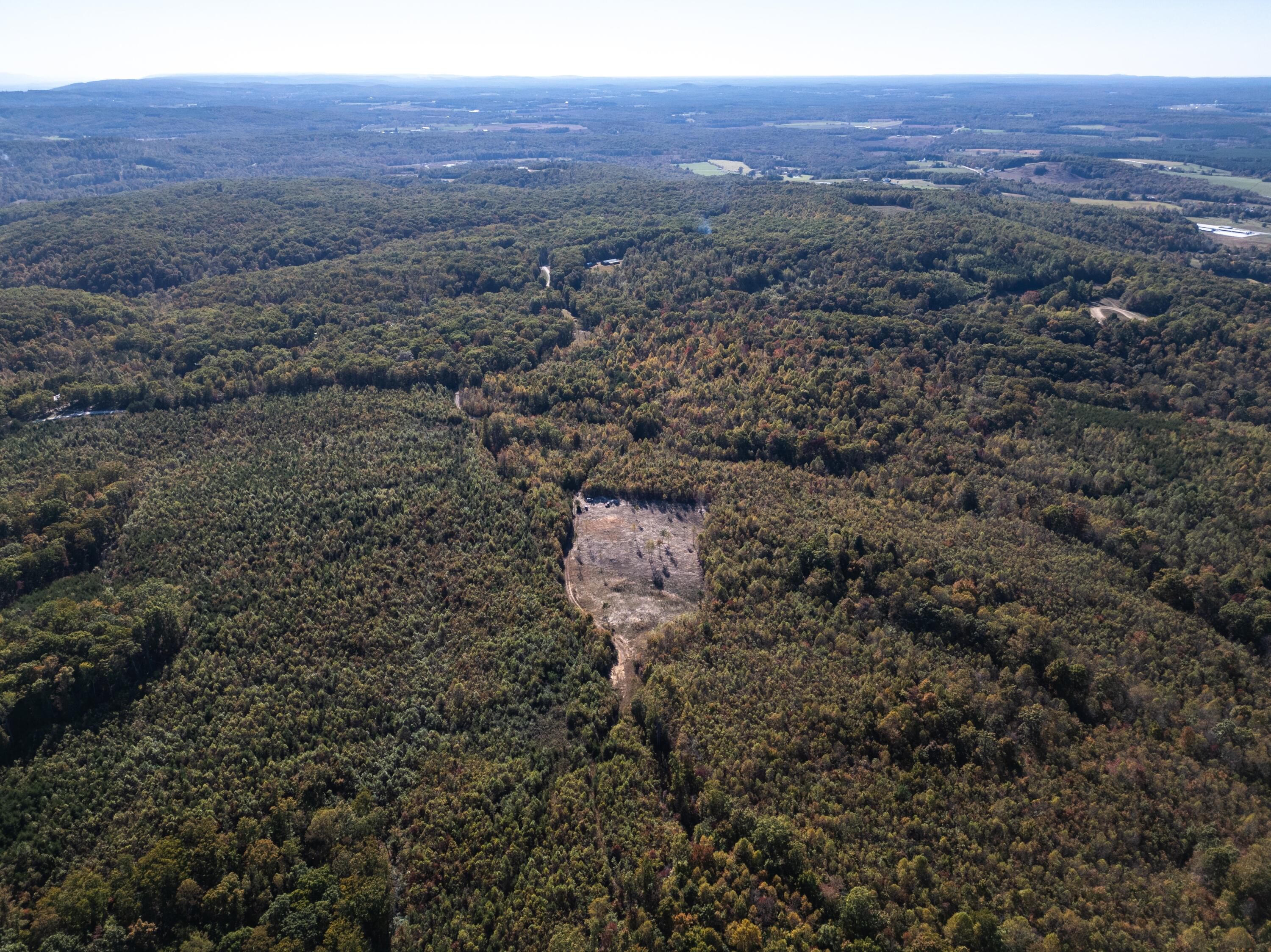 0 Otis Davis Road Pikeville, TN 37367 - Photo 11 of 14 DJI_0022