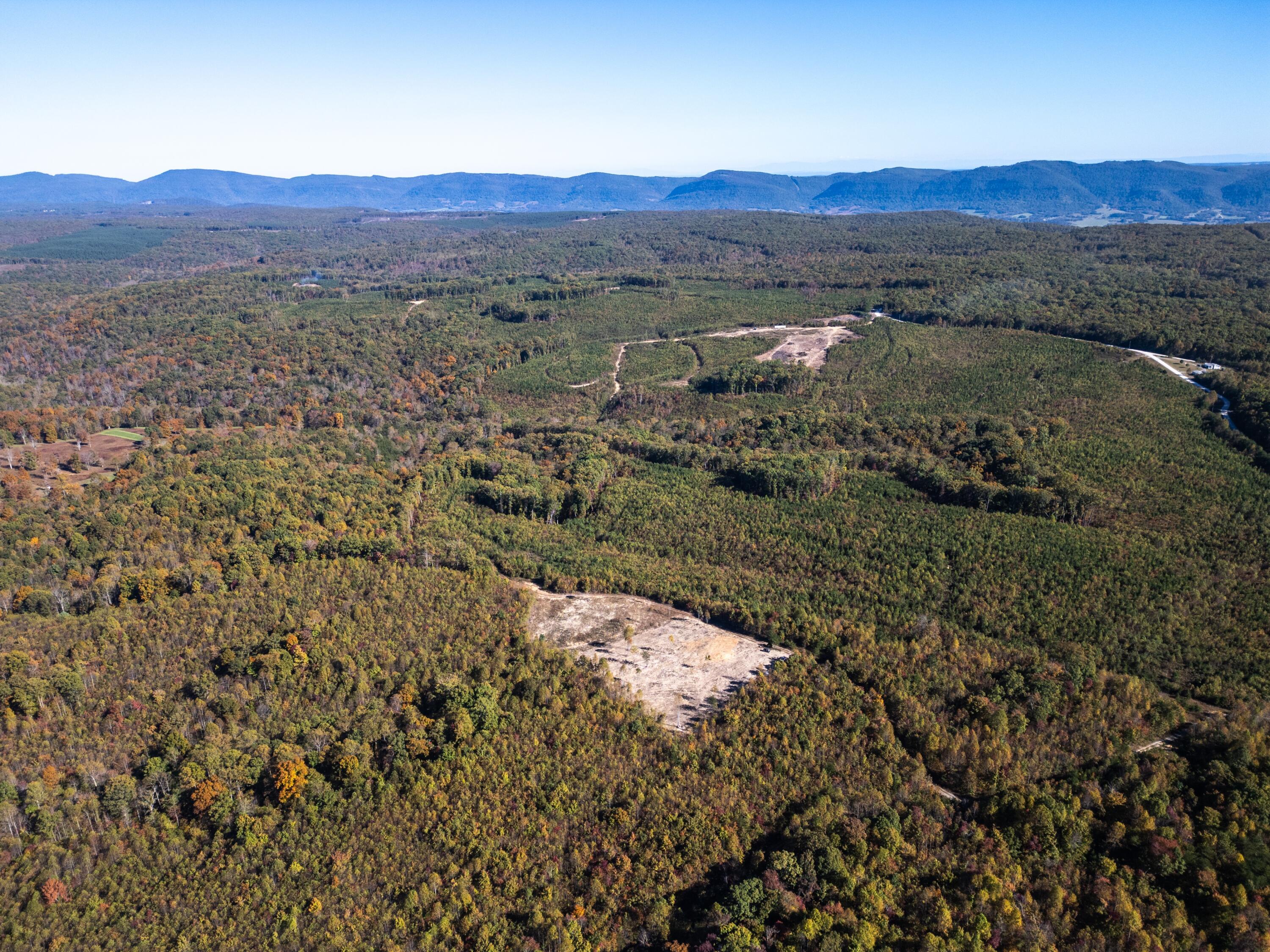 0 Otis Davis Road Pikeville, TN 37367 - Photo 12 of 14 DJI_0029