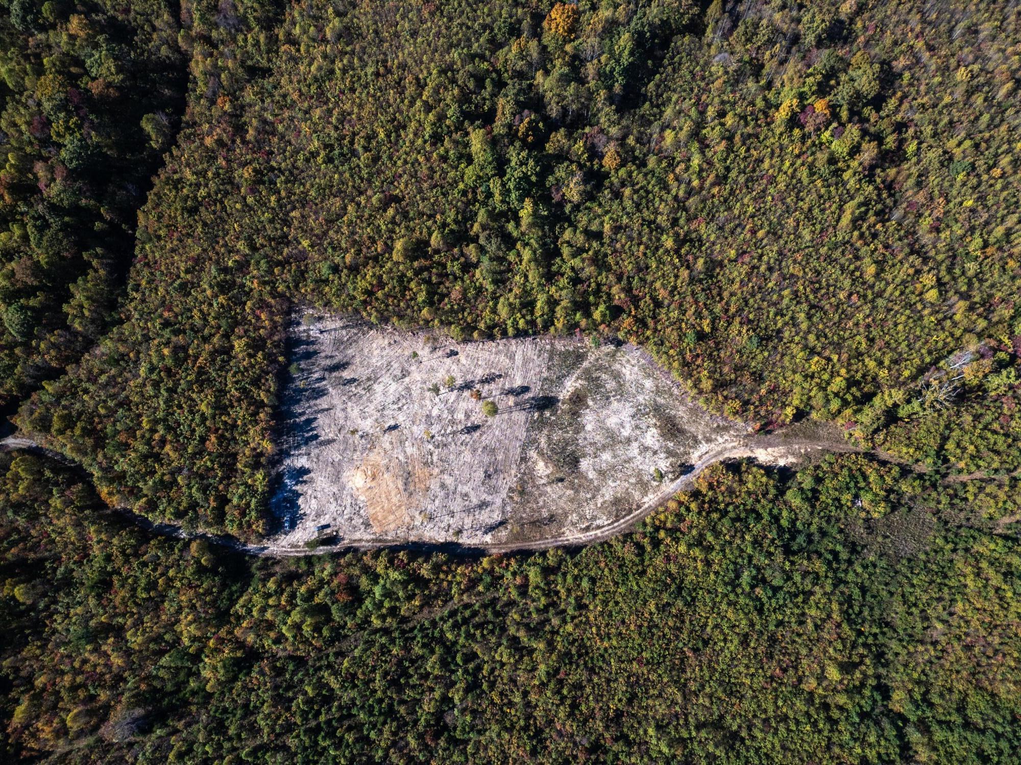 0 Otis Davis Road Pikeville, TN 37367 - Photo 14 of 14 DJI_0019